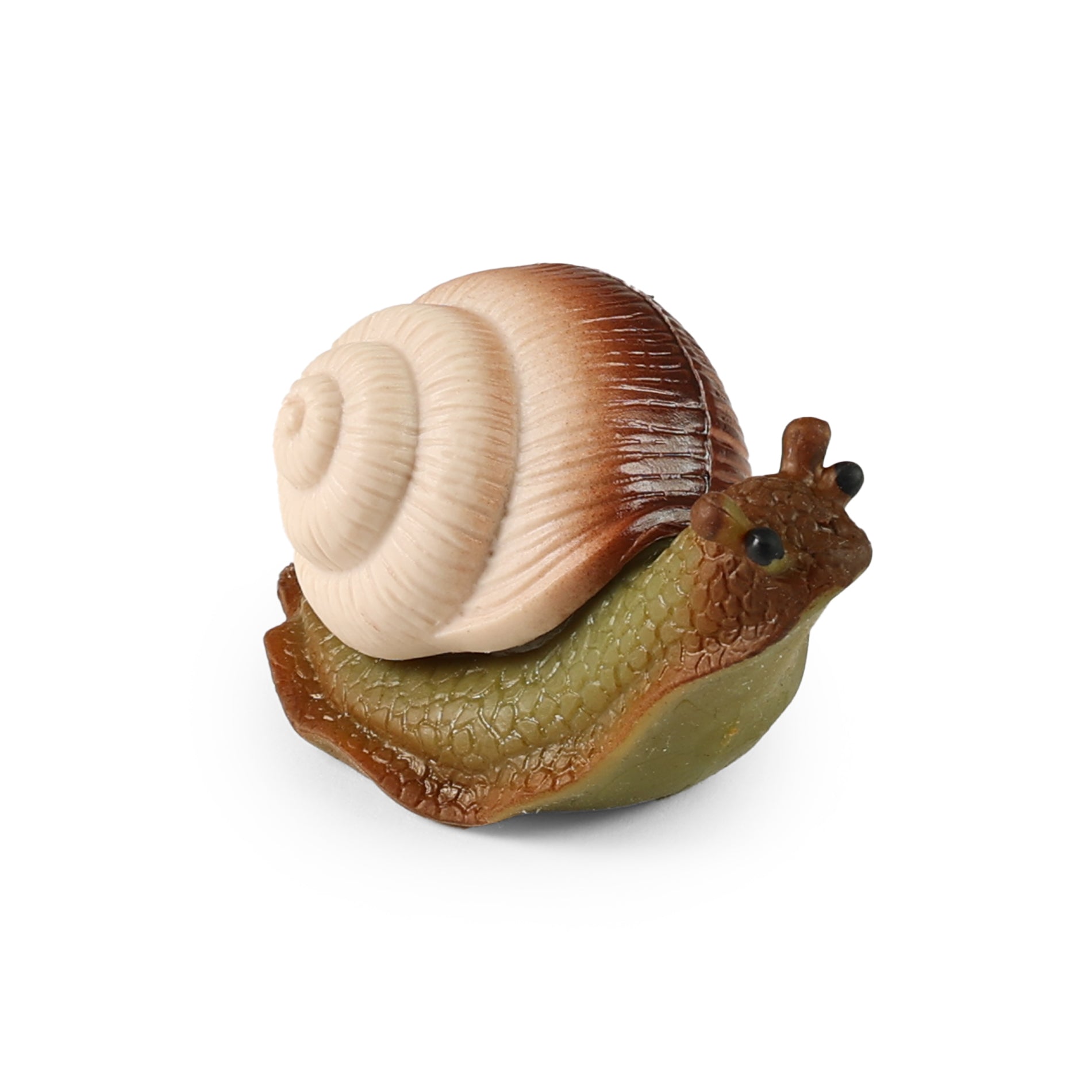 Snail 11 Cm