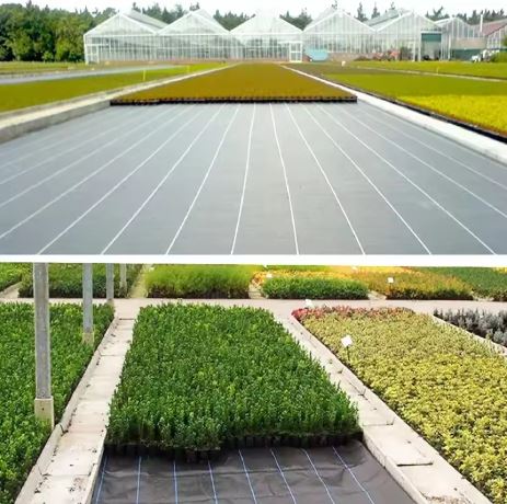 Agrotextile Dubh 1100cm X 50m Uv 135g Agrotextile Frith-fiaile + Ancairí