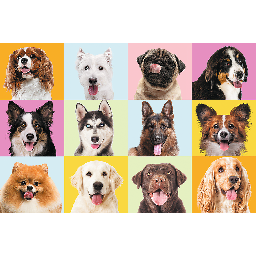 Puzzles - 60 - Sweet Puppies / Trefl 17374