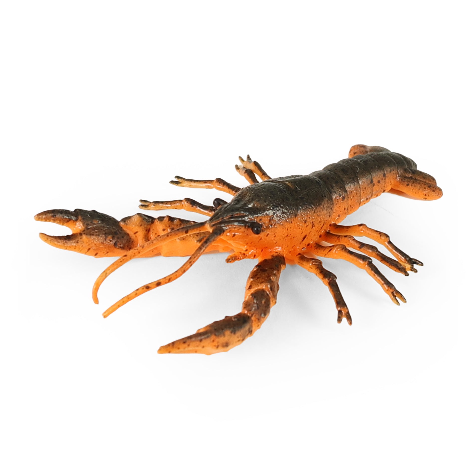 Aragosta in Gomma 14 Cm