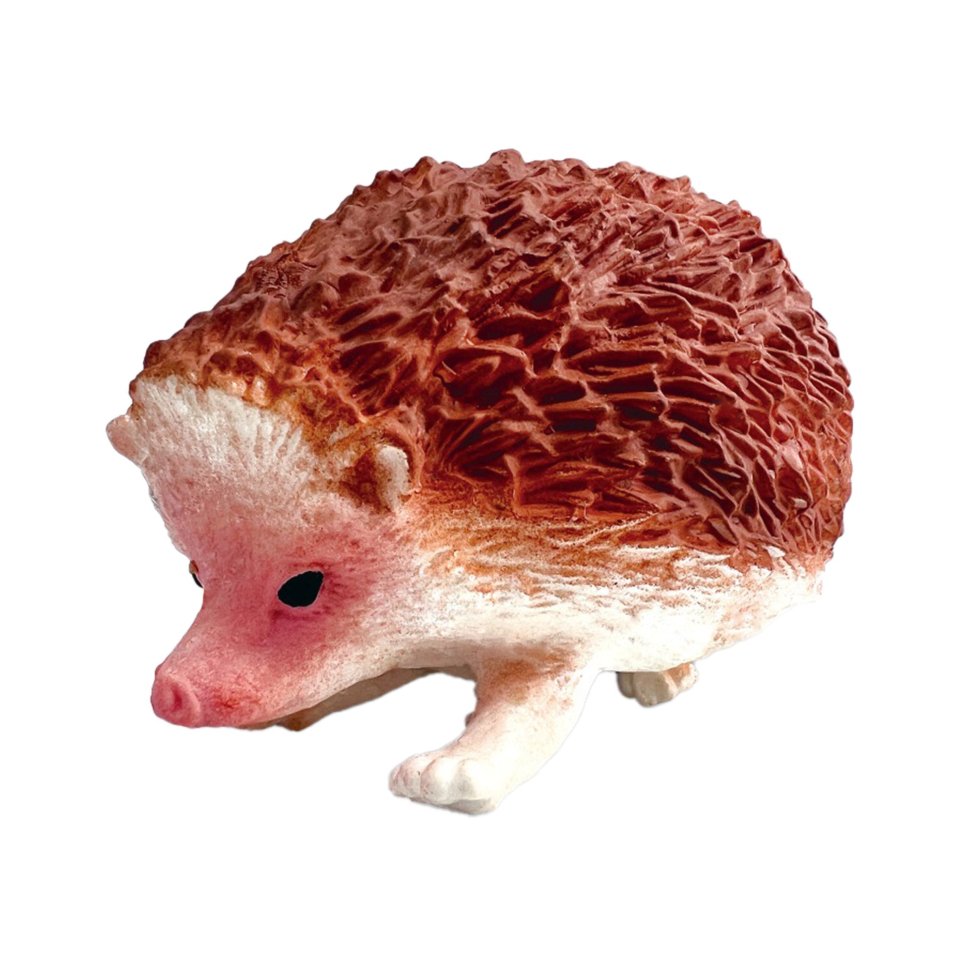 Hedgehog