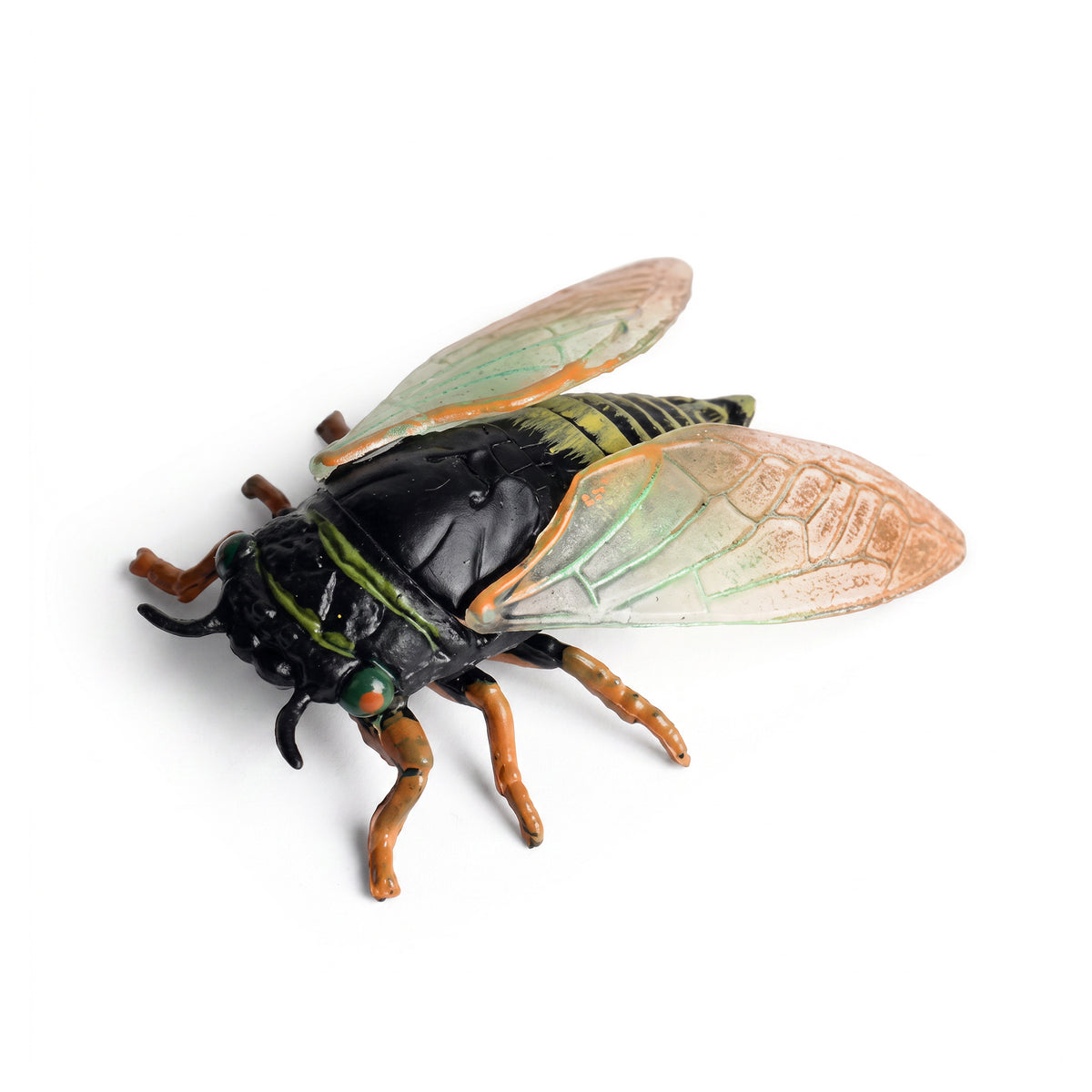 Insetto - Cicala 6 Cm