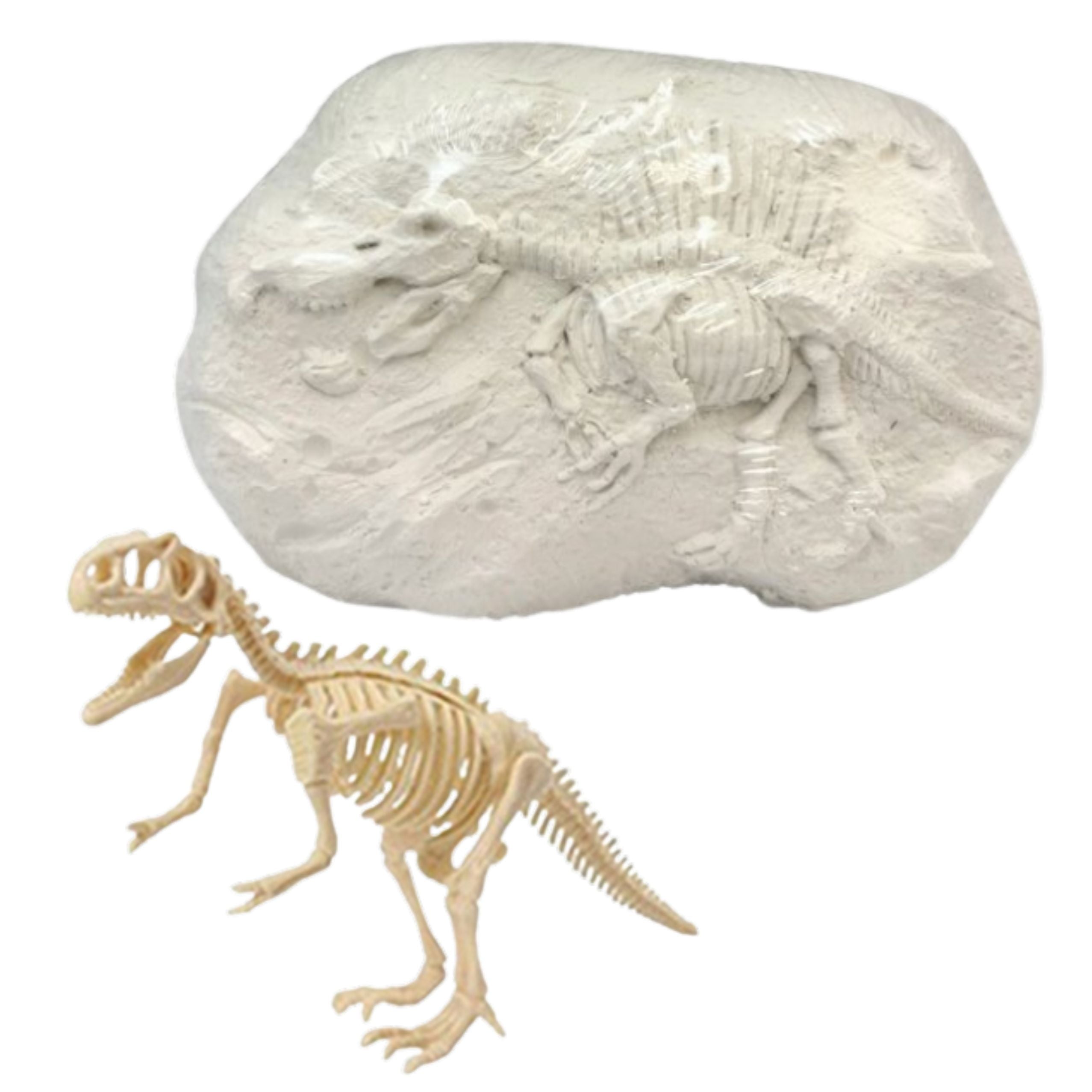 Paleontologist Excavation Kit Dinosaur Skeleton Tools
