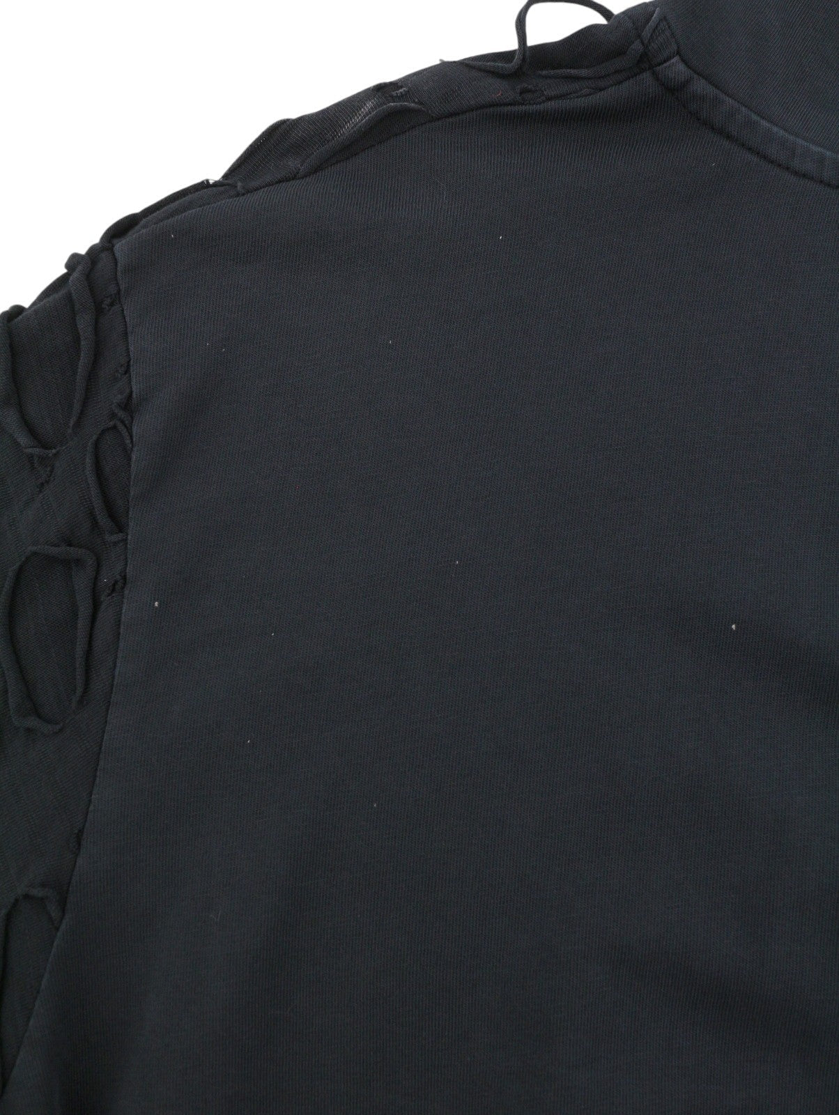 T-shirt T-crane-ls-hood