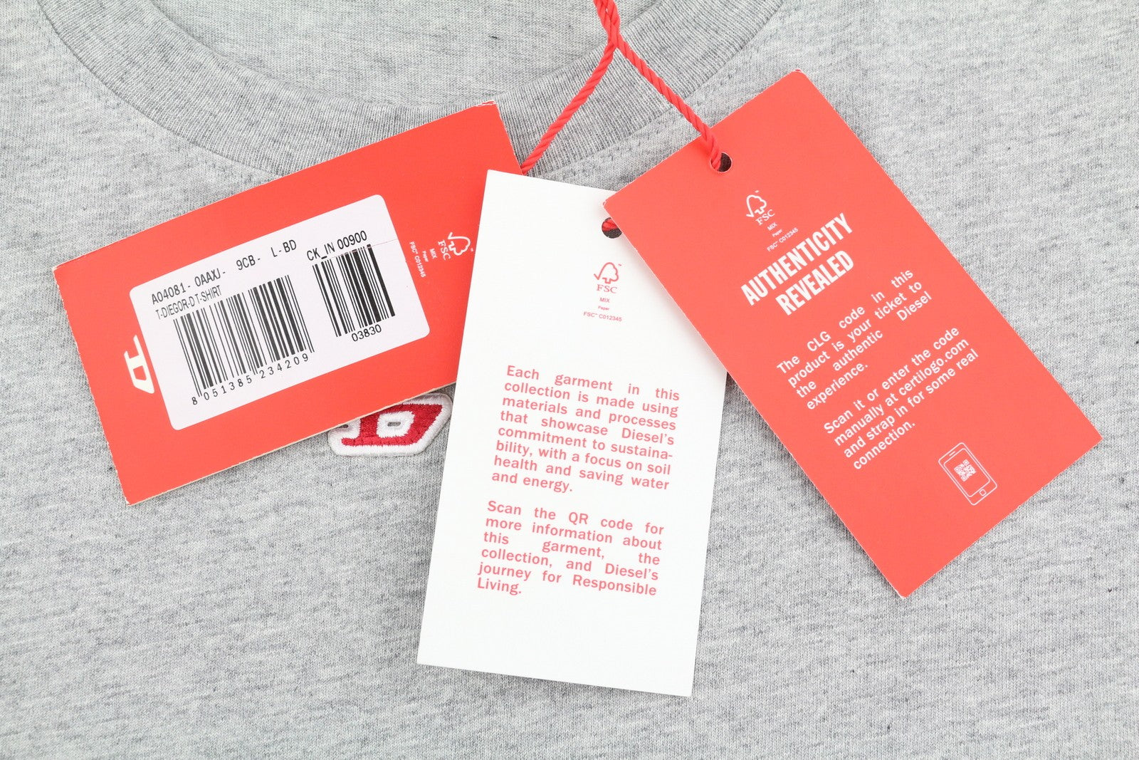T-shirt T-diegor-d
