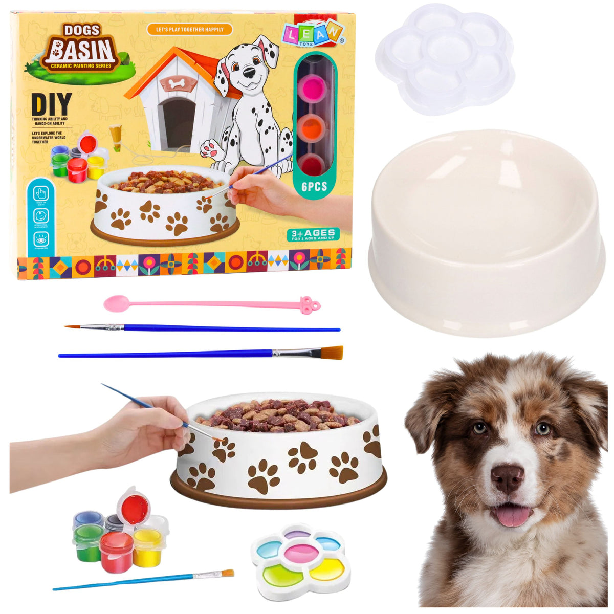 Creative Set Dog Bowl For Painting Paints Brushes Diy 6 Pcs.