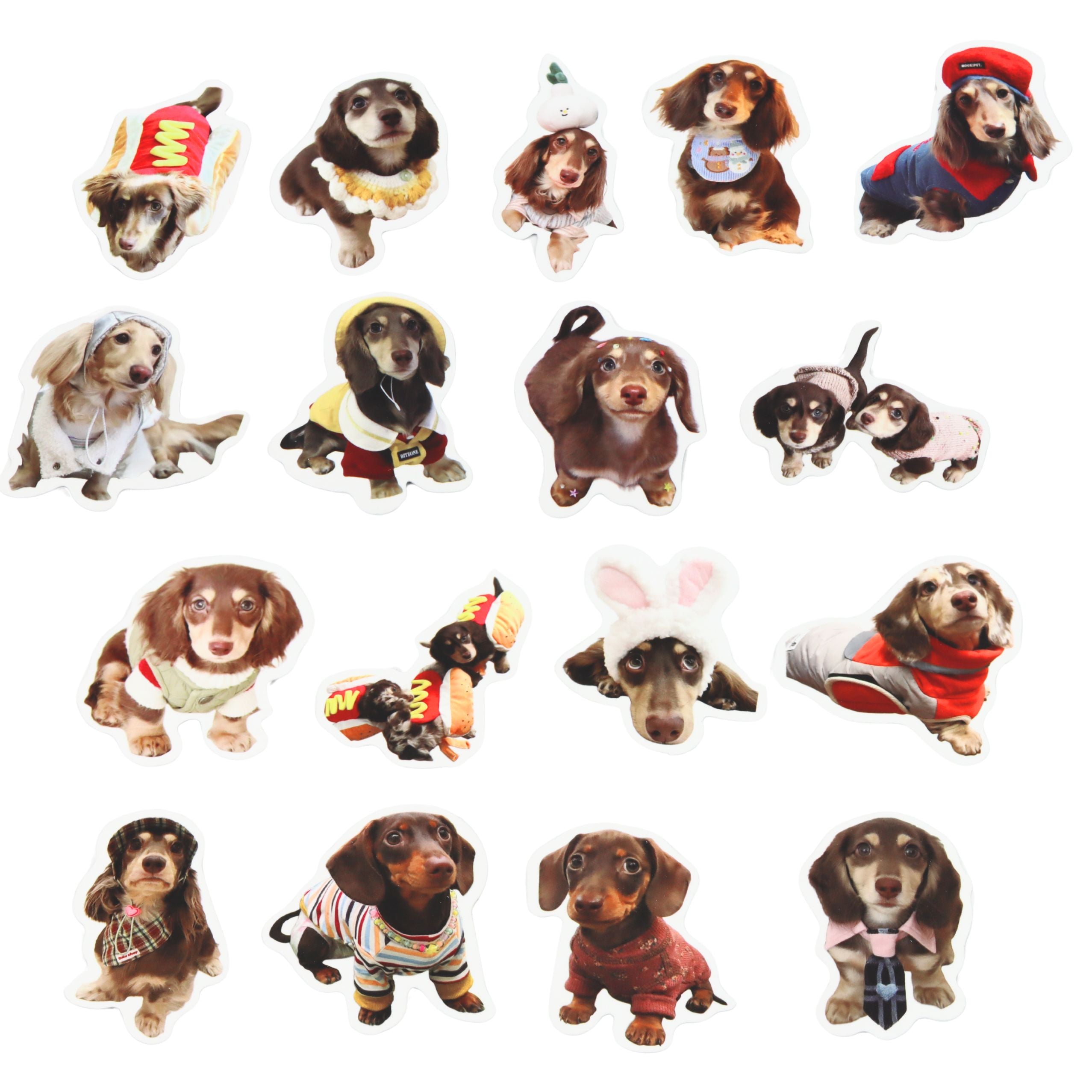 Set Of Paper Stickers With Spaniel Dogs For Decorating 50 Pcs.
