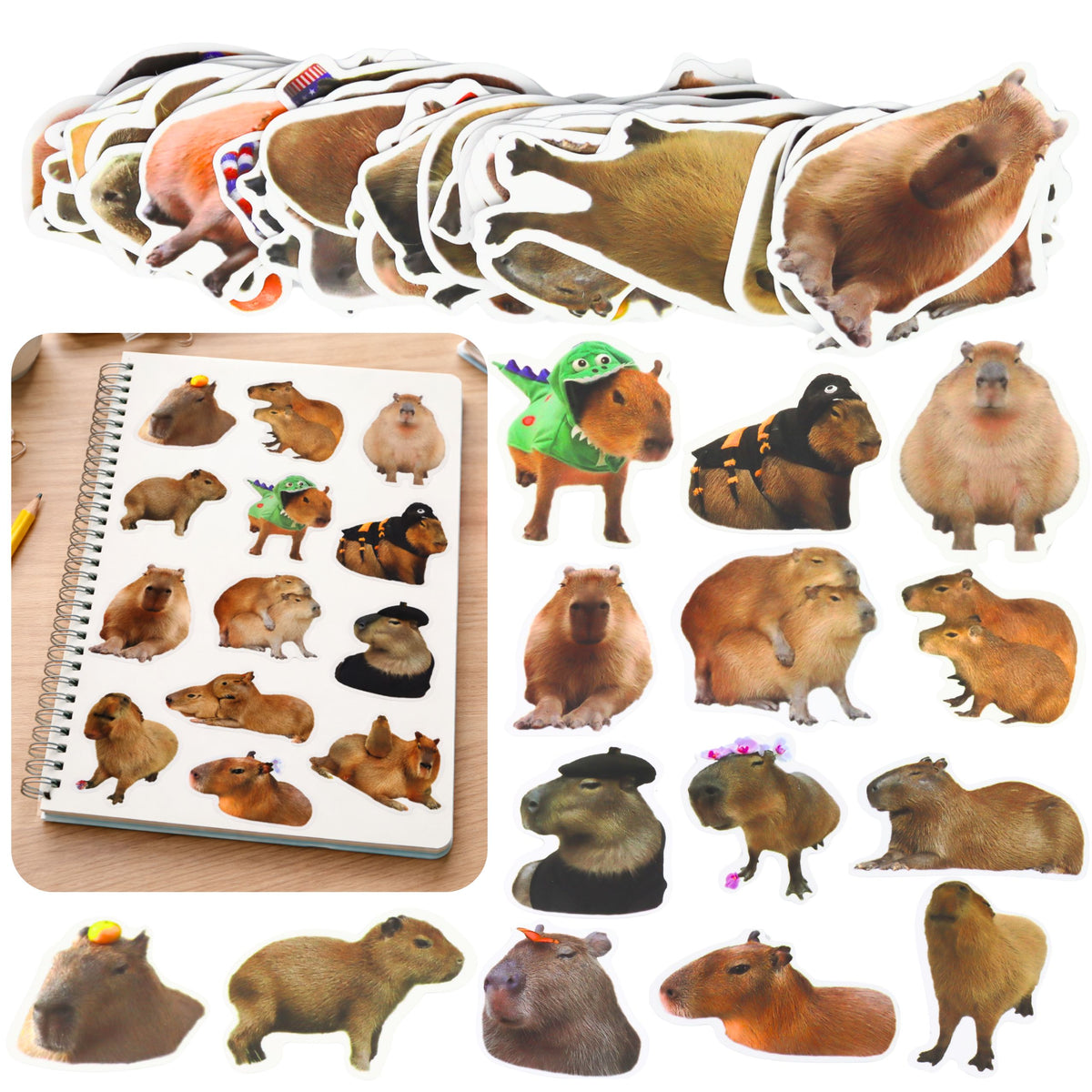 Set Pegatinas Papel Carpincho Imágenes Reales 50 Uds.