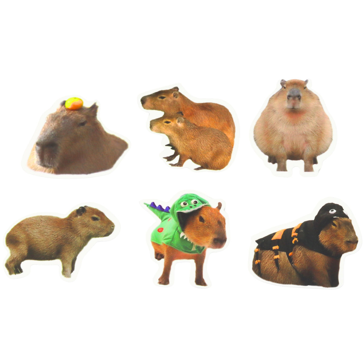 Set Pegatinas Papel Carpincho Imágenes Reales 50 Uds.