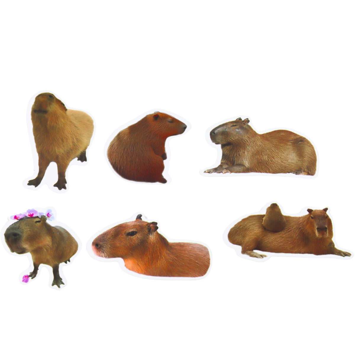 Capybara Paper Stickers Set Real Images 50 Pcs.