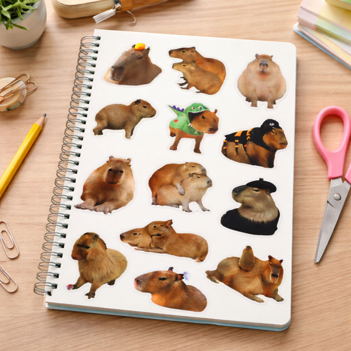 Capybara Paper Stickers Set Real Images 50 Pcs.