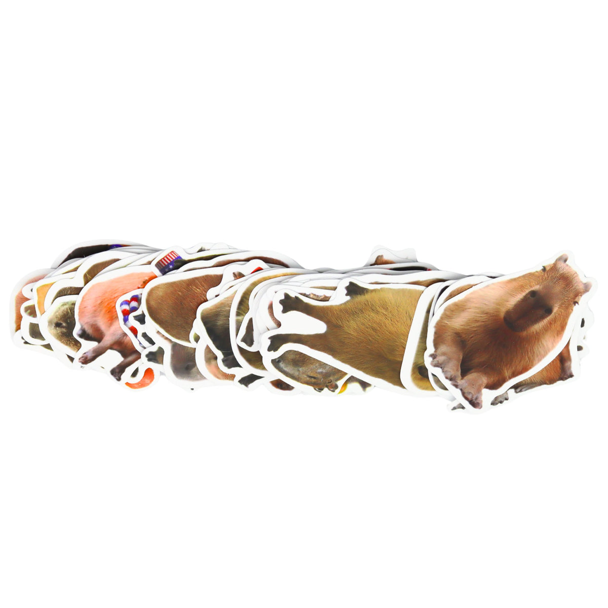 Capybara Paper Stickers Set Real Images 50 Pcs.