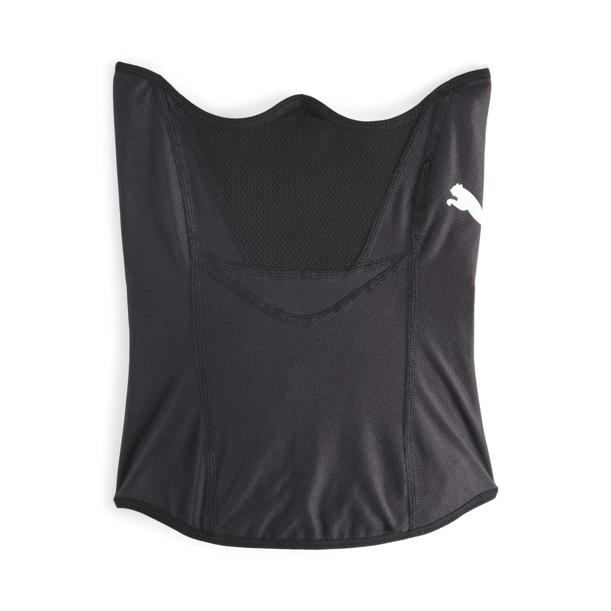 Masque facial hivernal Puma