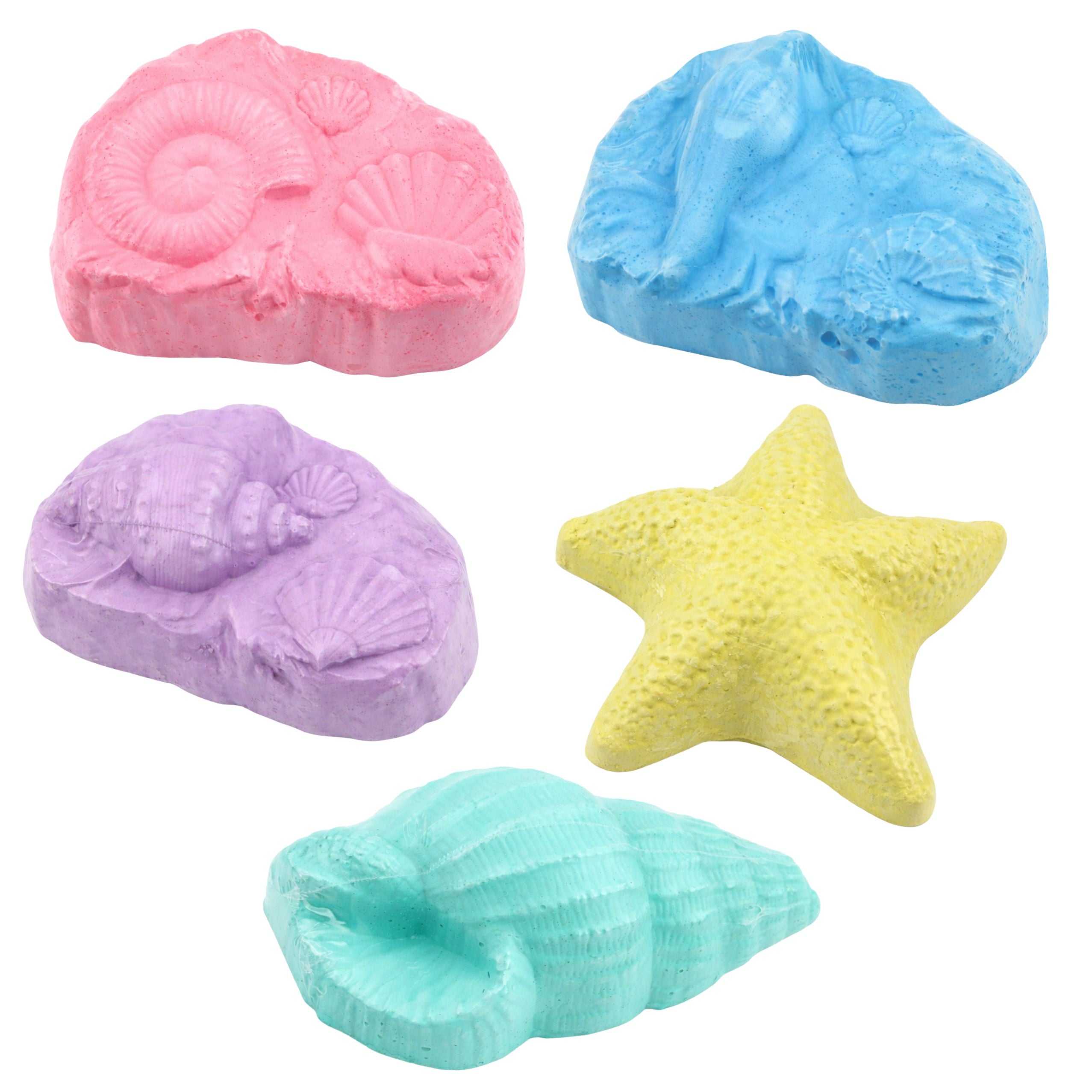 Marine Archaeology Kit Marine Fossils Shells Tools