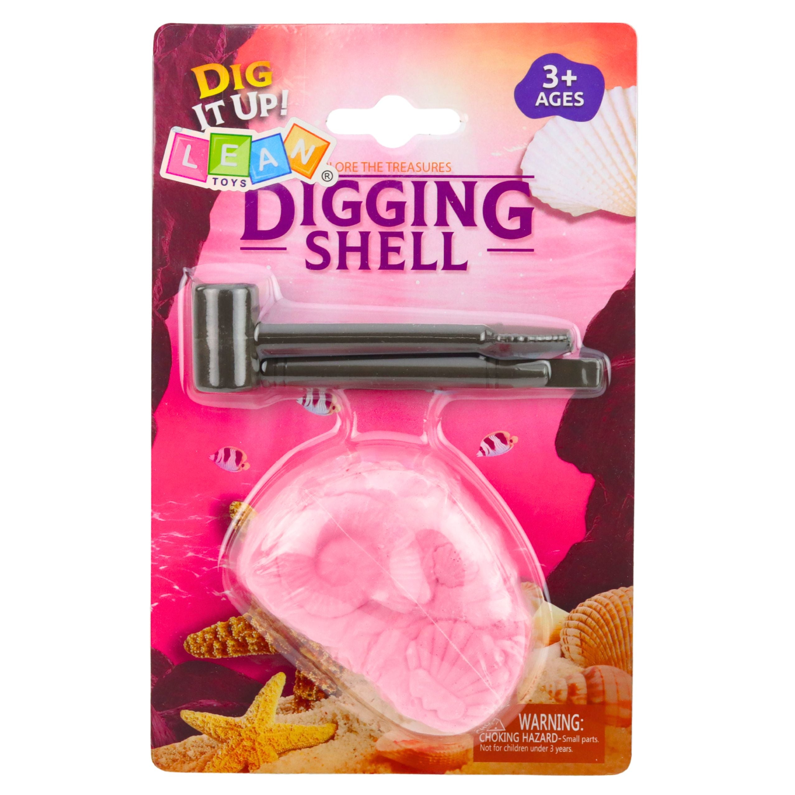 Marine Archaeology Kit Marine Fossils Shells Tools