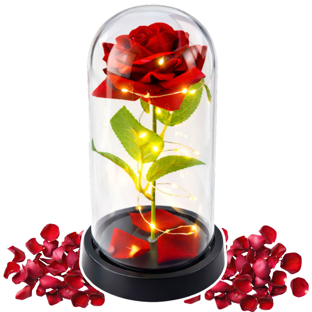 Eternal Rose In Glass Dome Led Lighting Red 21.5 X 11 Cm