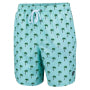 Short de bain Falcon pour hommes