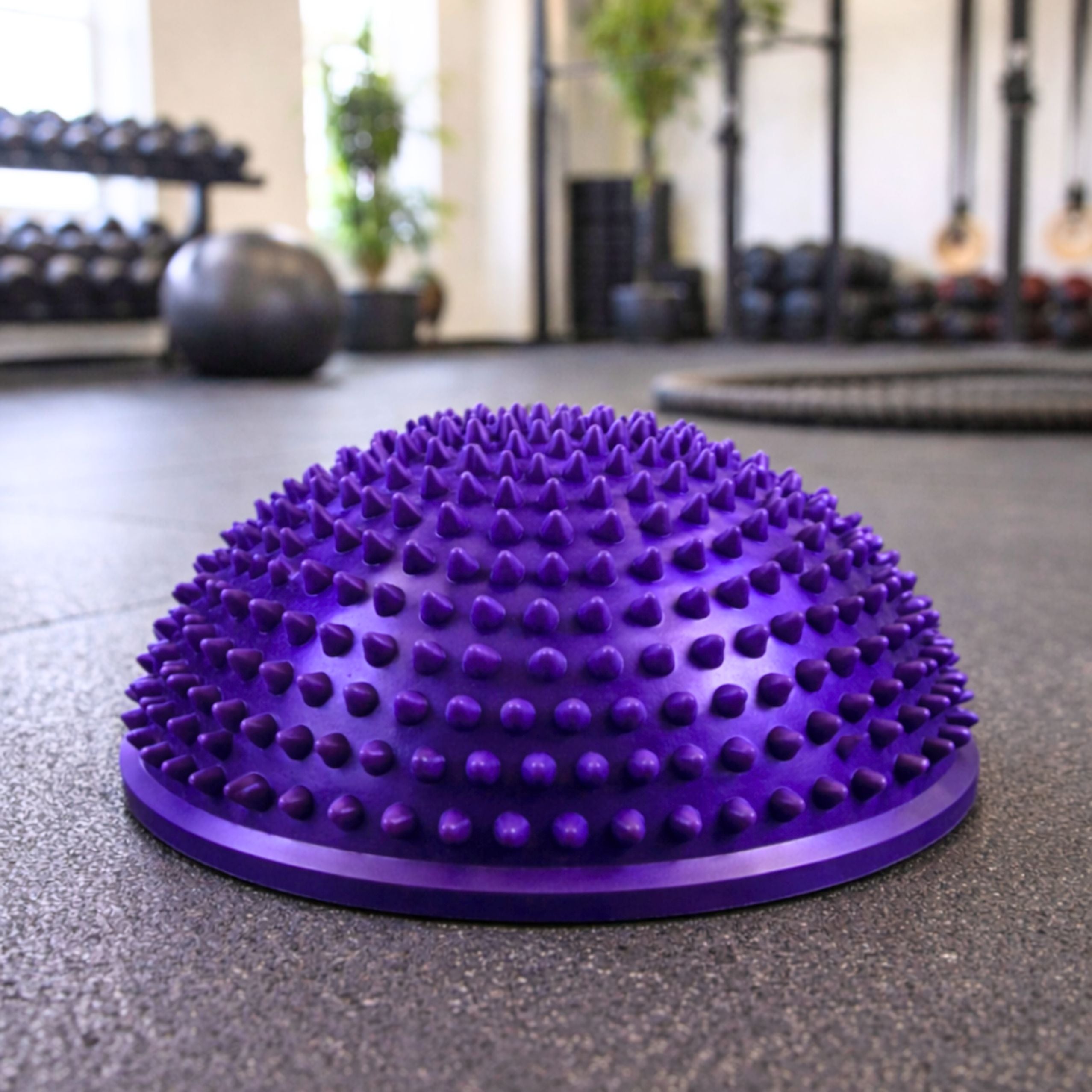 Sensory Hemisphere For Massage And Balance Exercises Purple 16 Cm