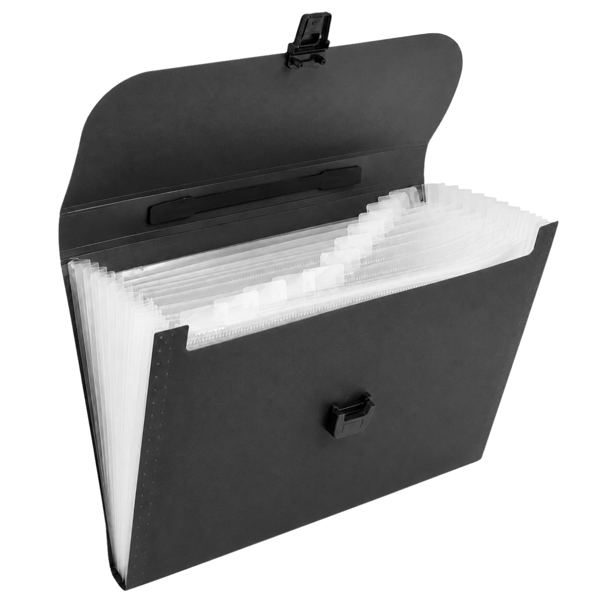 Ordner-Ordner, Dokumenten-Organizer, Halter, 13 Fächer, Schwarz, A4