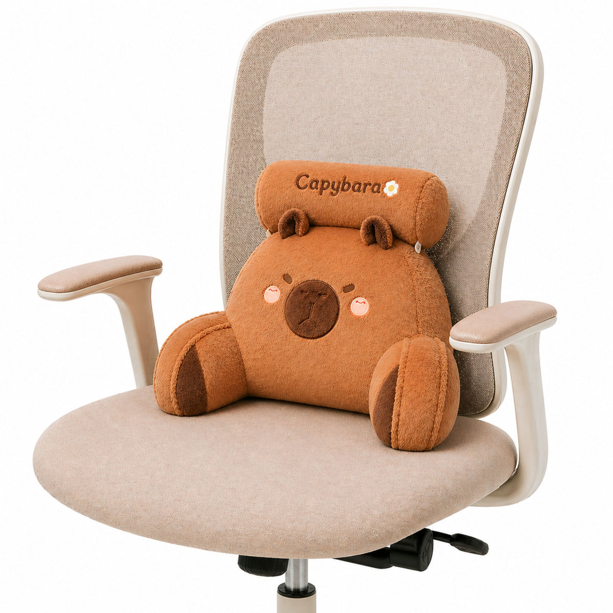 Rückenlehne Sessel Rückenstütze für Sesselbett Capybara Braun 60 x 40 cm