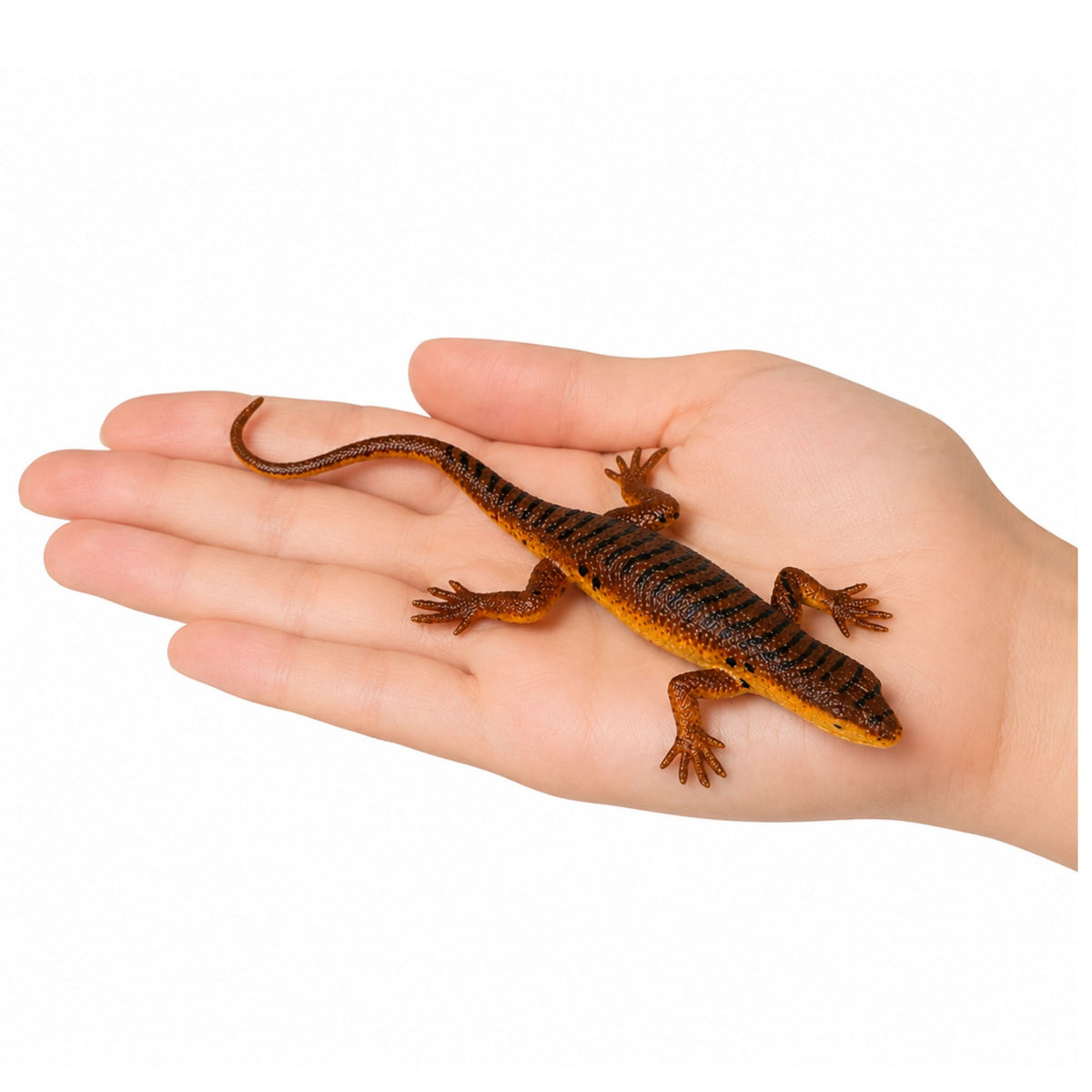 Lizard Viviparous Rubber Fíorach Insínte Réalaíoch 12.5 Cm