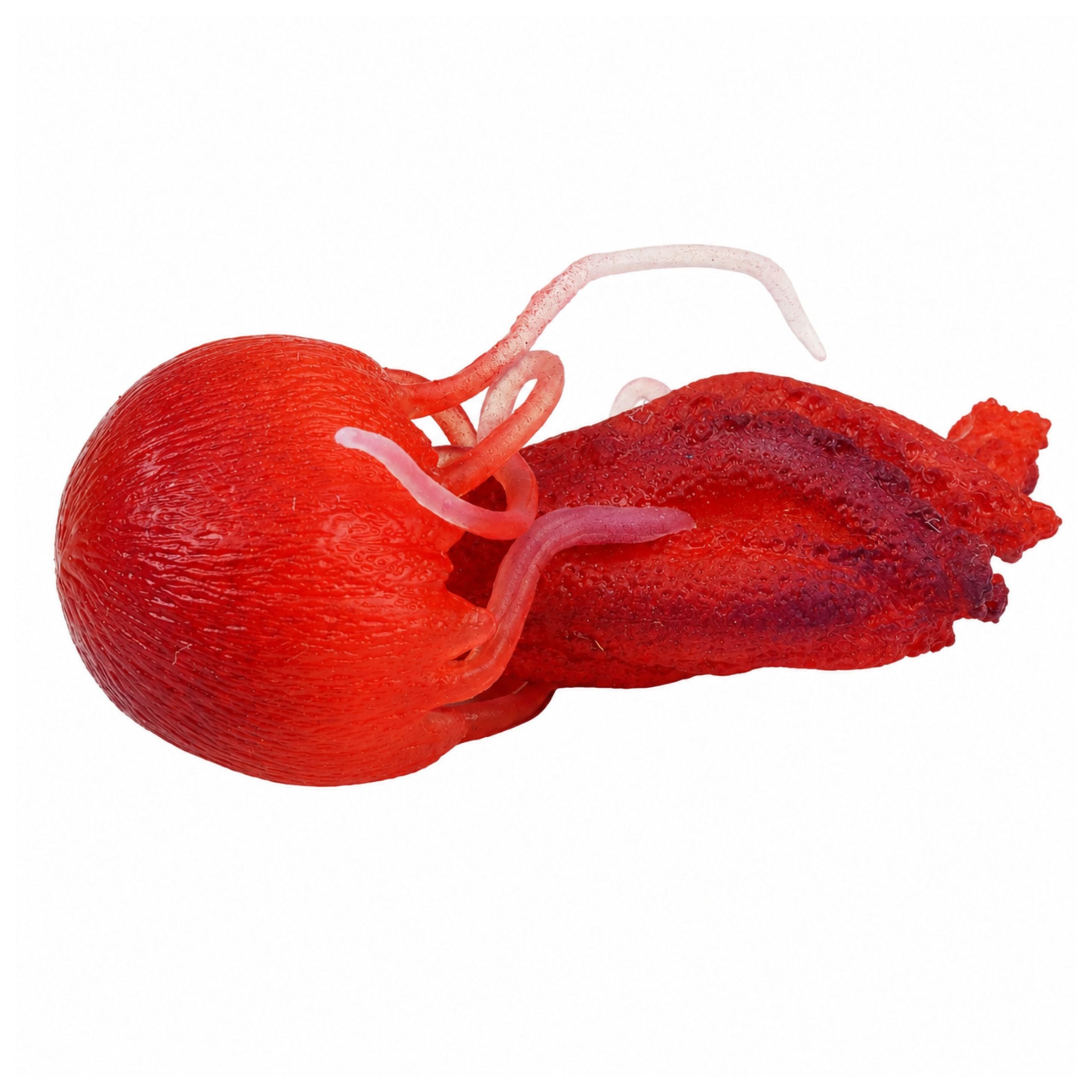 Jellyfish Rubber Figurine Stretchable Realistic Sea Animal 9 Cm