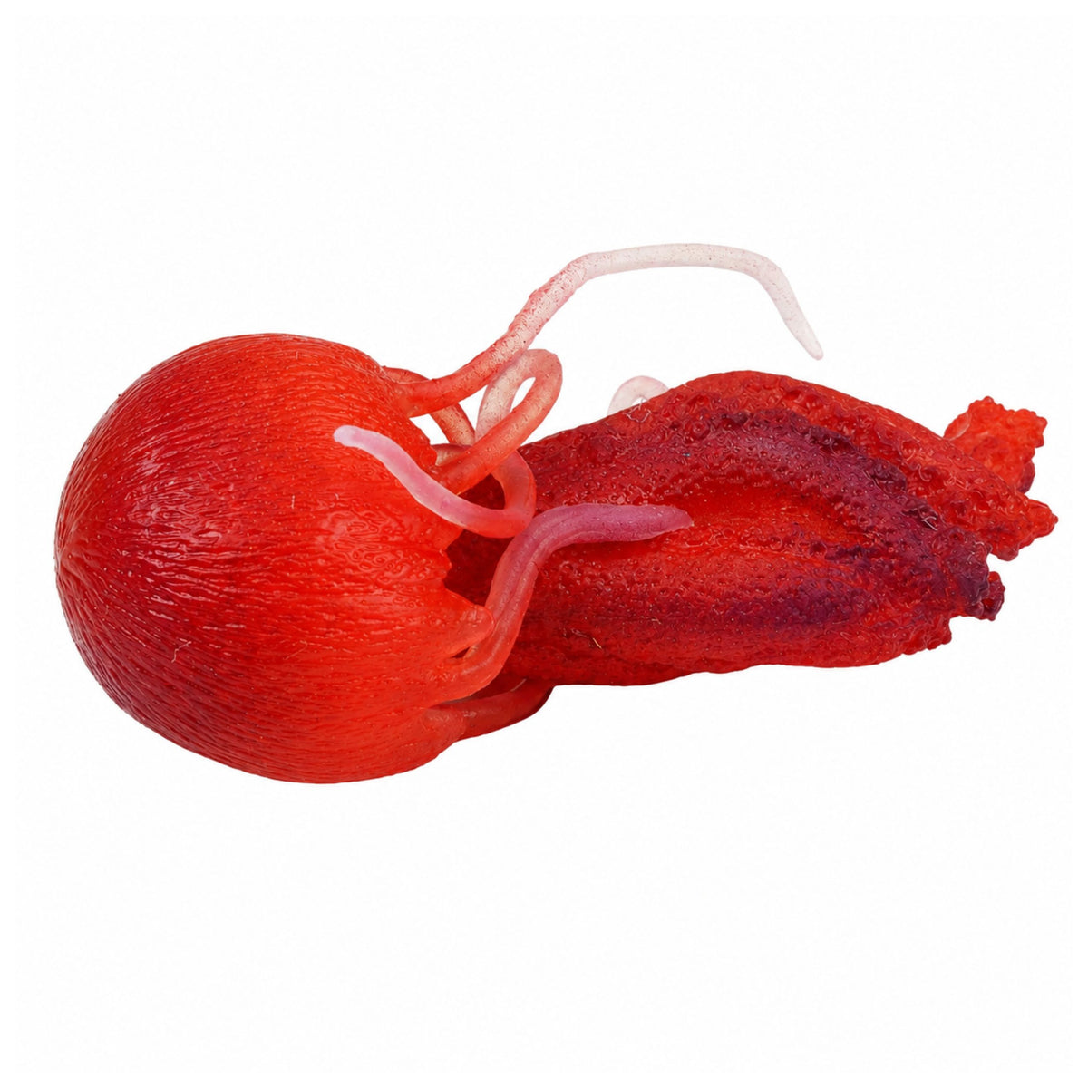 Jellyfish Rubber Figurine Stretchable Realistic Sea Animal 9 Cm