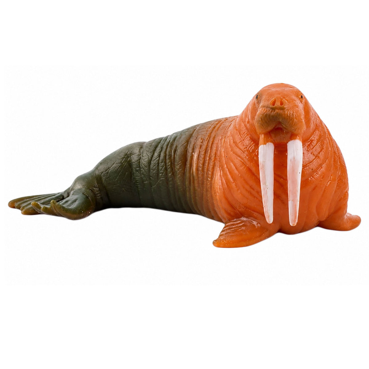 Figurine en caoutchouc de morse extensible réaliste mammifère marin 13 Cm