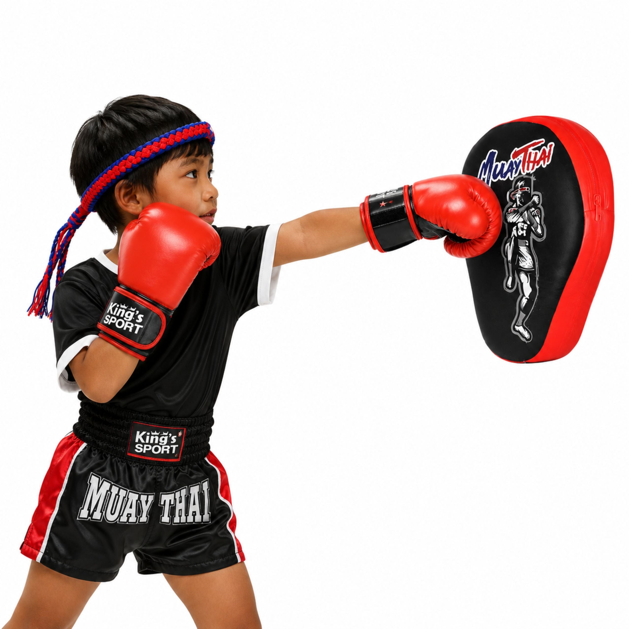 Boxing Sports Set Gloves Training Pad 2in1 Muay Thai
