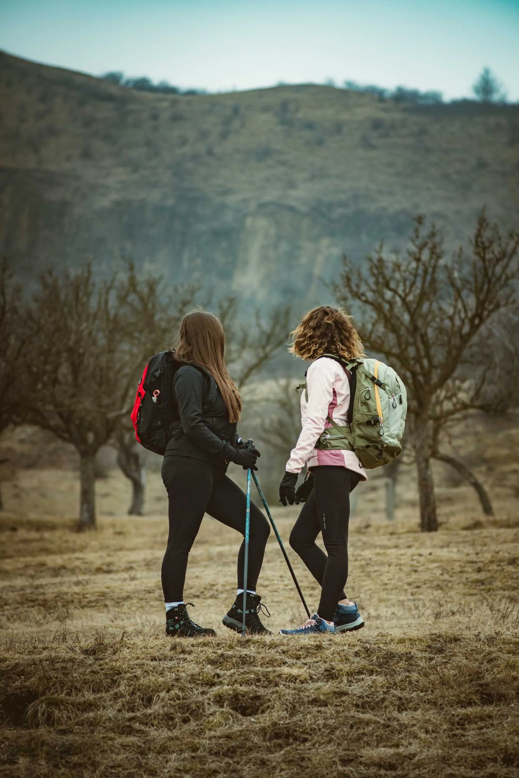 Cuaillí Carbóin Newfeel Cuaillí Siúlóide Nordach Nw P500 Gorm