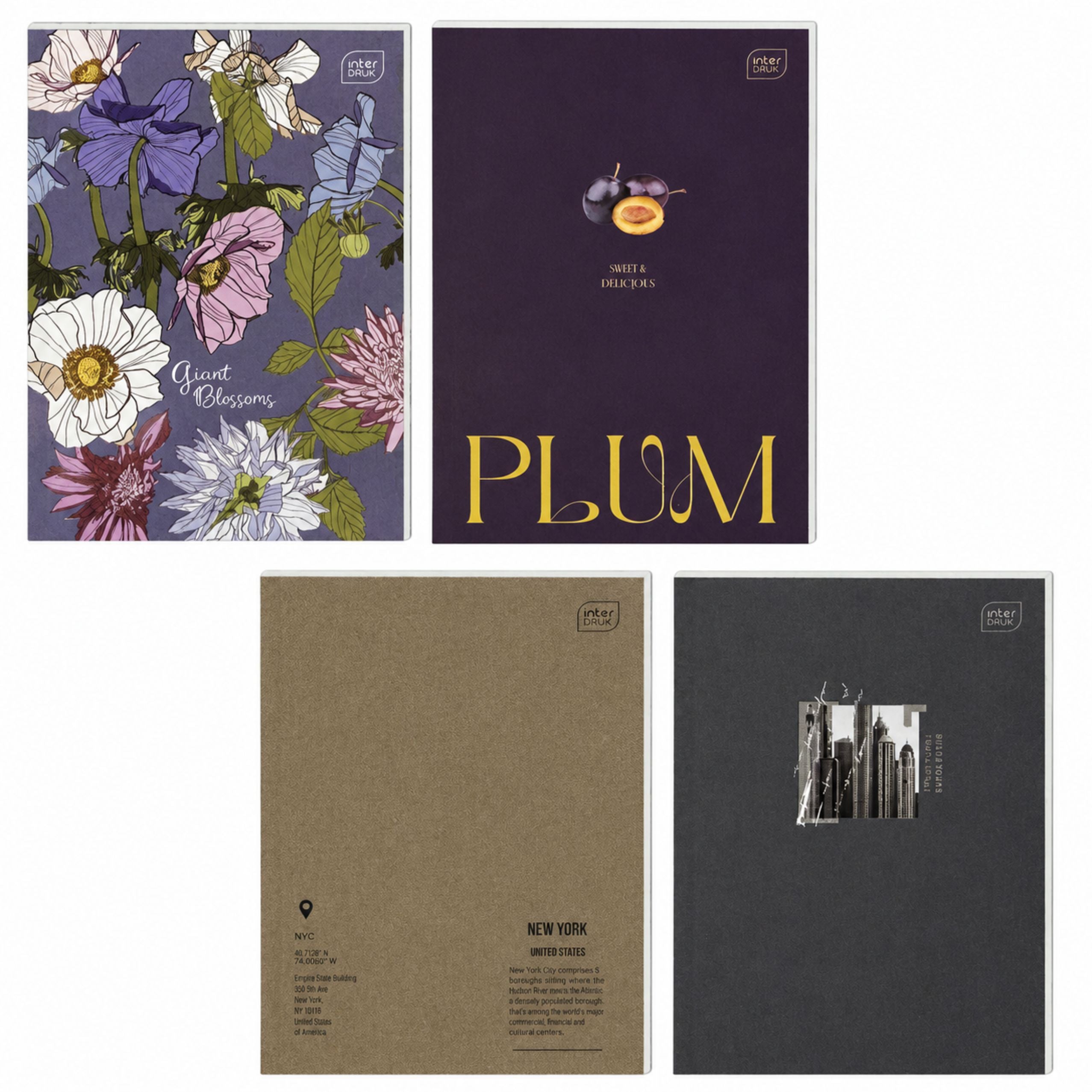 Interdruk A4 Notebook With Thick Lines And Margin 96 Sheets