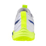 Mizuno Indoor Shoes Sr