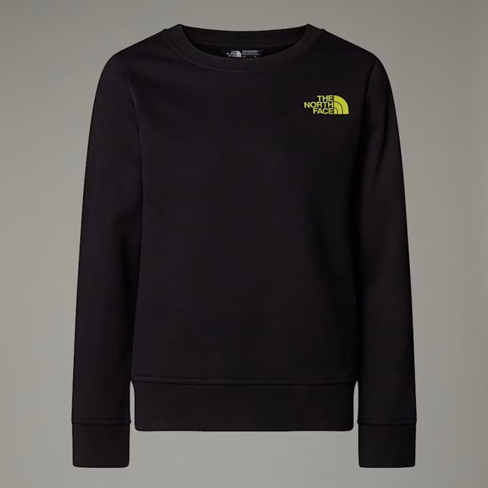 Ежедневен пуловер за момчета The North Face