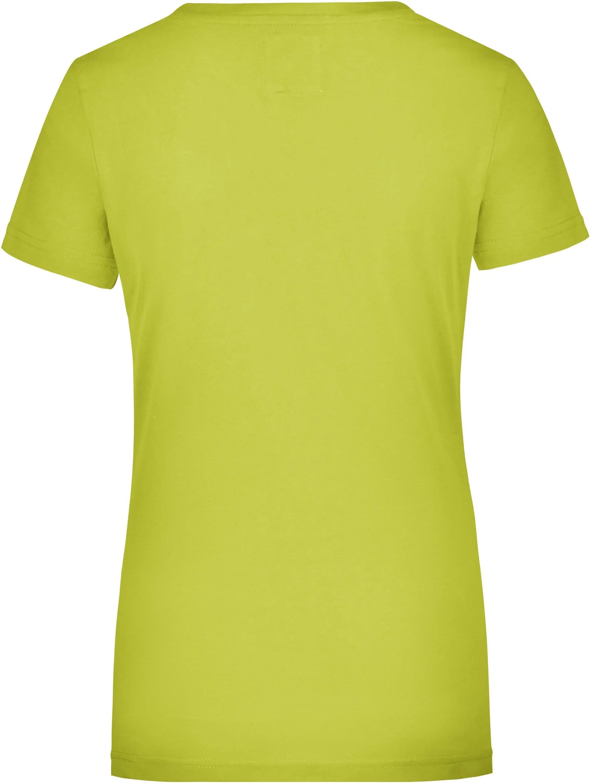 T-shirt da donna James & Nicholson Camicia Vintage Verde
