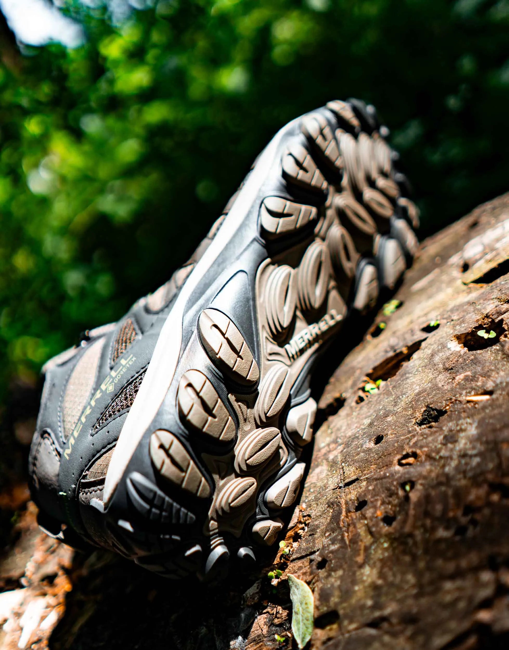Merrell Men Accentor 3 Sport Mid Gtx-boulder Brown