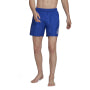 Adidas badshorts för män