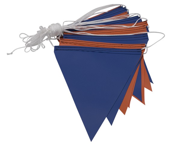 Set 1666 M Pennants