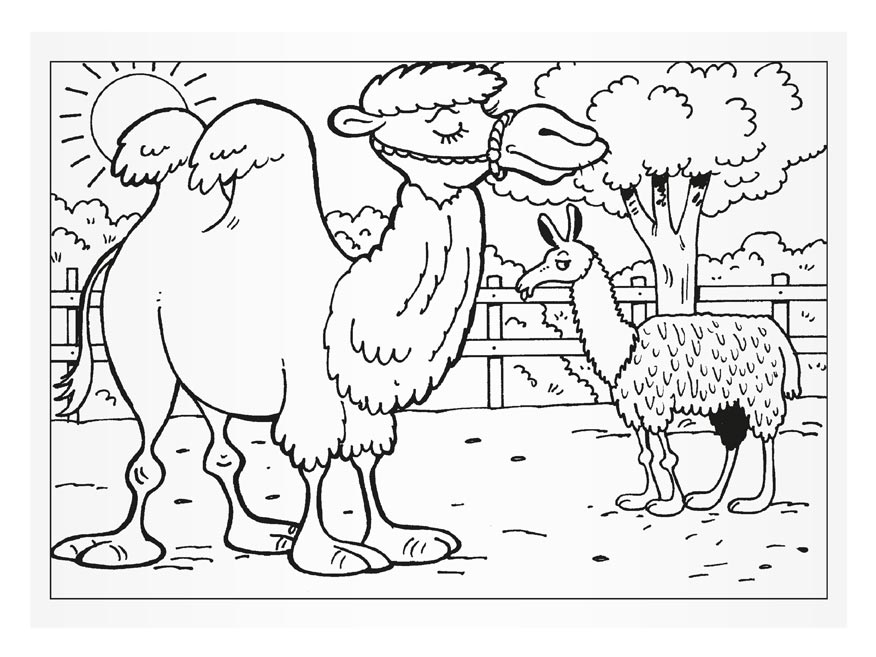 MFP Omaľovánky Návšteva Zoo