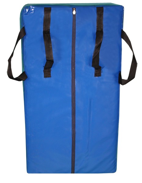 Rugby chroniące tarczę