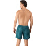 Brunotti Men's Swim Shorts