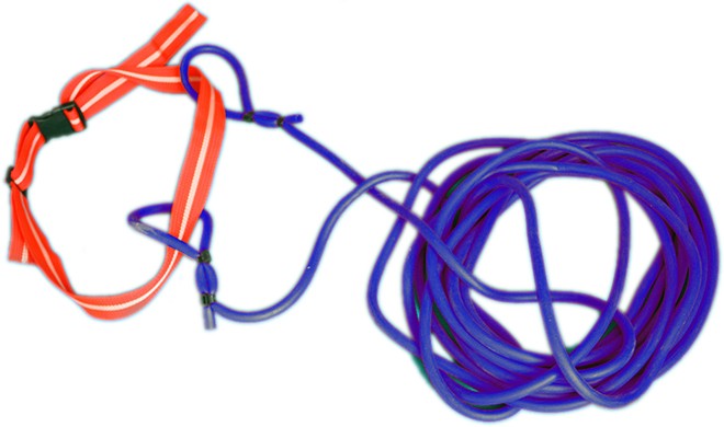 Crios friotaíochta snámha nua