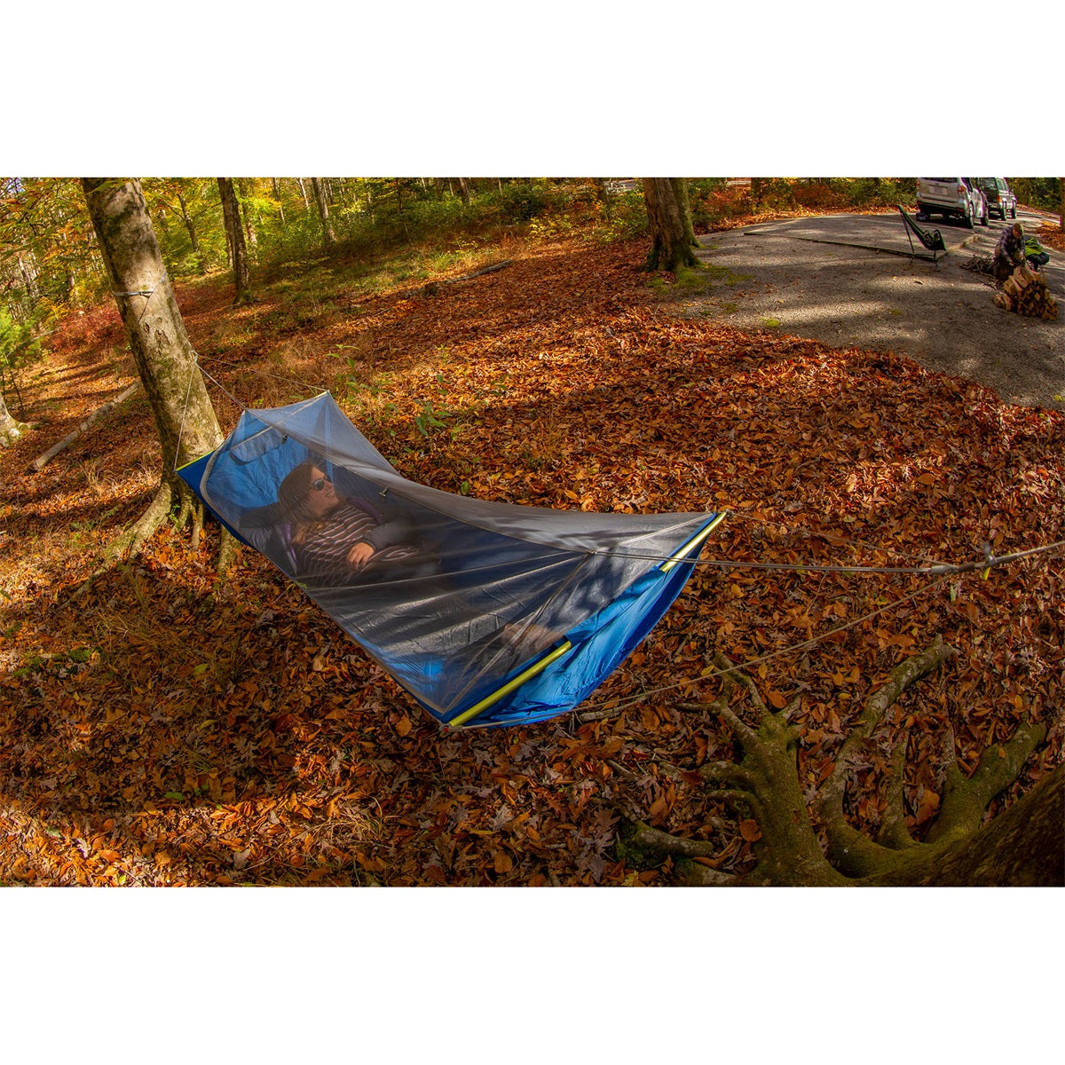 Eno Skylite Pacific