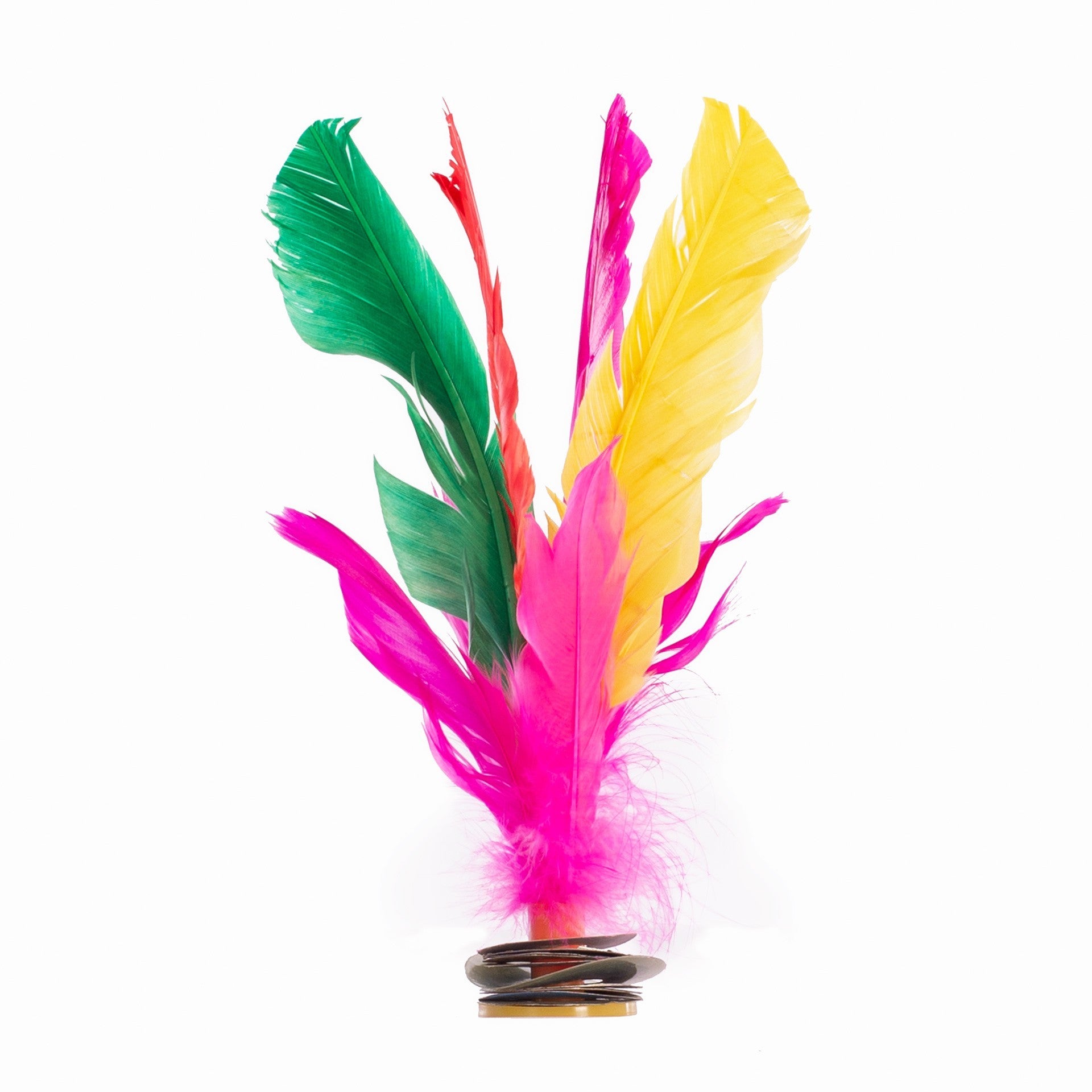 Conjunto de 6 plumas multicoloridas de futebol indiaka