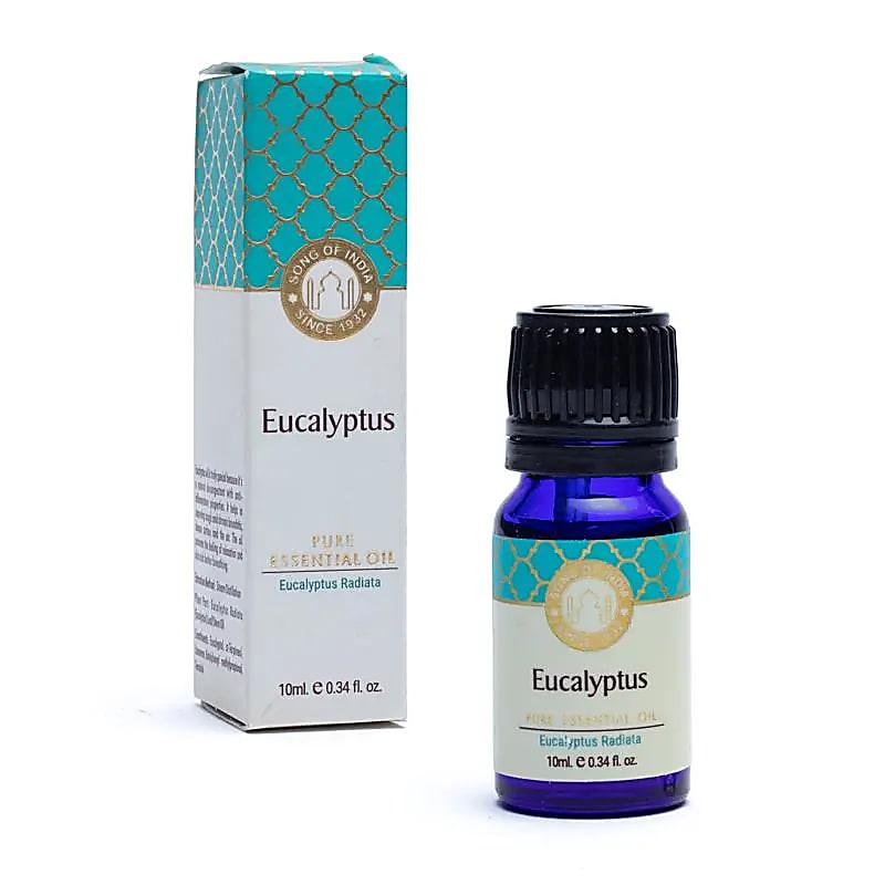 Amhrán Ola Riachtanach Eucalyptus Na hIndia - Pacáiste 10 Ml As 3 Pcs