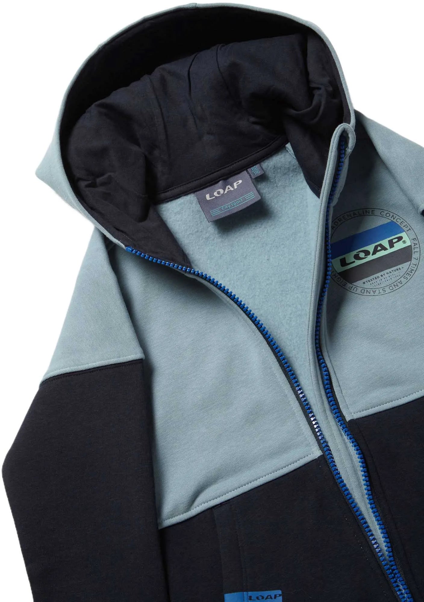 Børne sweatshirt Loap Dizar Grå