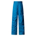 Ски/сноуборд яке North Face Boys