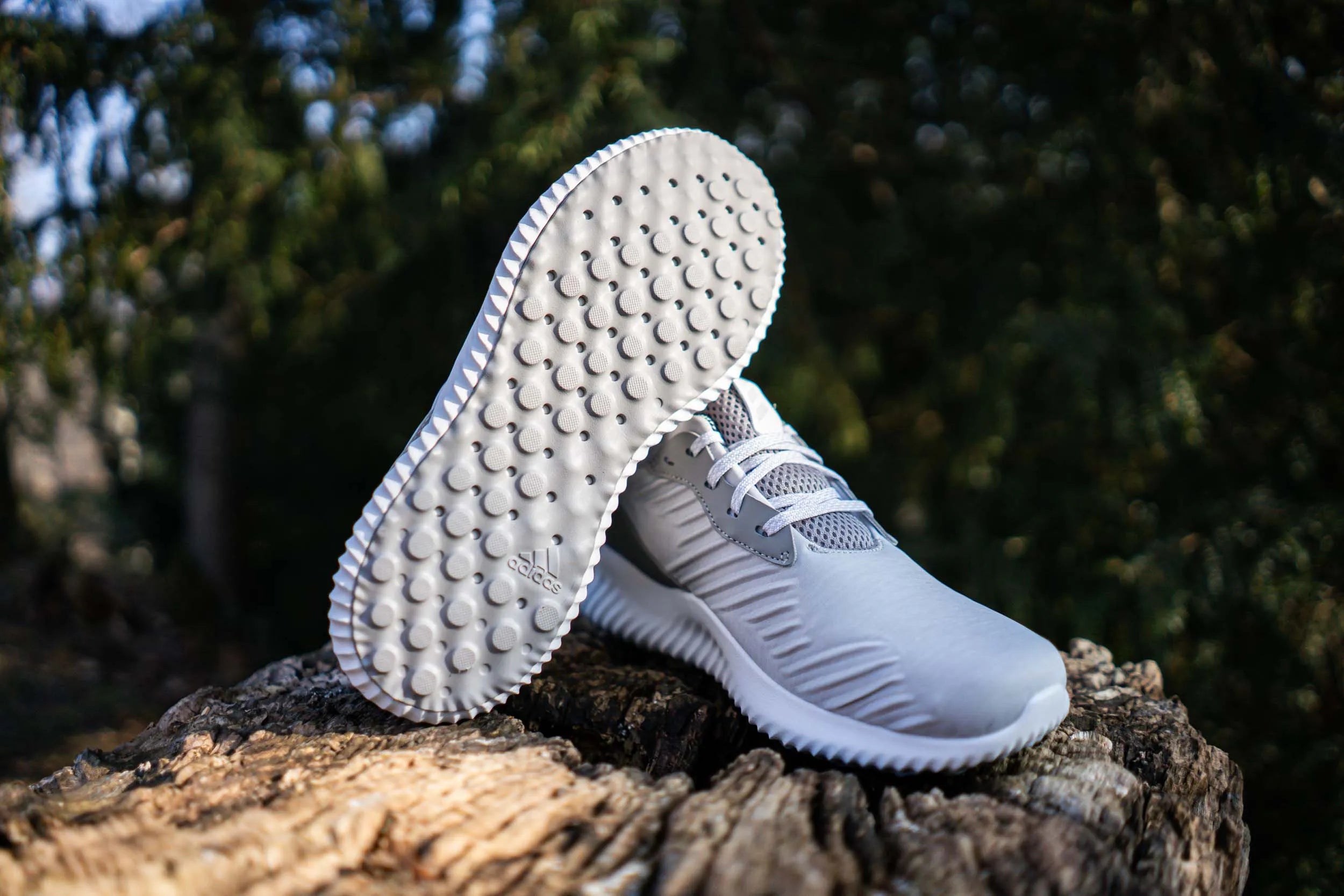 Løbesko til kvinder Adidas Alphabounce Rc Grå