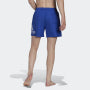 Shorts de banho masculinos Adidas