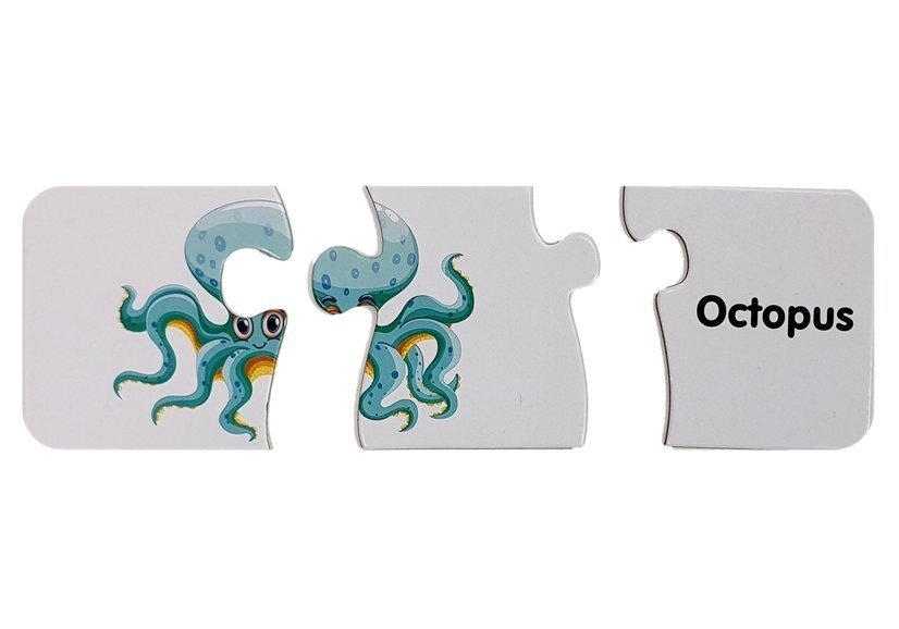 Educational Puzzle The World Of The Oceans Puzzle 10 Connections