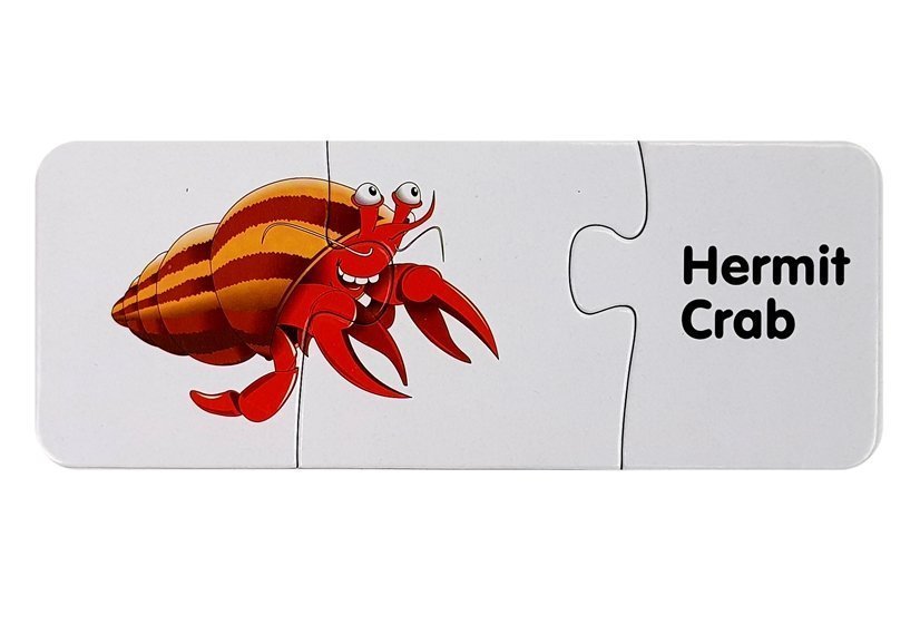 Educational Puzzle The World Of The Oceans Puzzle 10 Connections